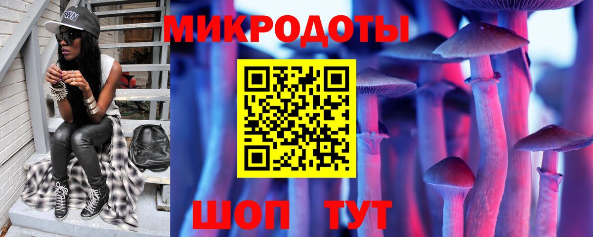 Псилоцибиновые грибы GOLDEN TEACHER  Вход с VPN  Каменск-Шахтинский 